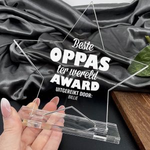 Beste Oppas Ster Award